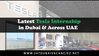 Tesla Internship